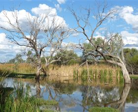 Lagoon Creek - Accommodation Port Hedland 0
