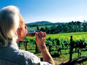 Ashton Hills Vineyard - Accommodation Port Hedland 0