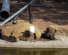 Ram Park - Accommodation Port Hedland 3
