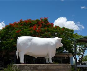 Aramac - The White Bull - Accommodation Port Hedland 1
