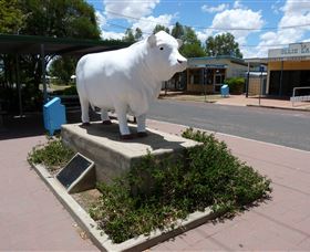 Aramac - The White Bull - Accommodation Port Hedland 2