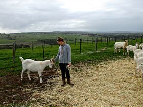 Kangarilla Creamery - Accommodation Port Hedland 2