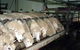 Island Pure Sheep Dairy And Cheese Factory - thumb 0
