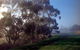 Island Pure Sheep Dairy And Cheese Factory - thumb 2