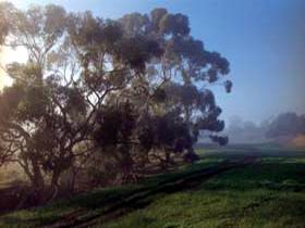 Island Pure Sheep Dairy And Cheese Factory - Accommodation Port Hedland 2