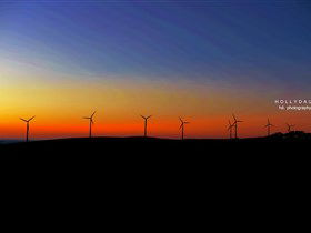 Starfish Hill Windfarm - Accommodation Port Hedland 0