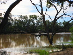 Allan Tannock Weir - Accommodation Port Hedland 3