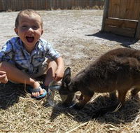 Animal Farm Goolwa - Accommodation Port Hedland