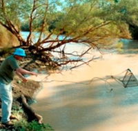 Charleville - Ward River Fishing Spot - Accommodation Port Hedland