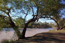 Charleville - Bakers Bend Warrego River Fishing Spot - Accommodation Port Hedland 1