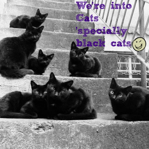Gallery Serpentine - Accommodation Port Hedland 11