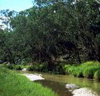 Salvator Rosa Section - Carnarvon National Park - Accommodation Port Hedland
