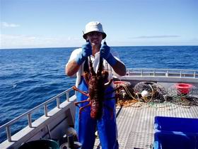 Lacepede Seafood - Accommodation Port Hedland 2