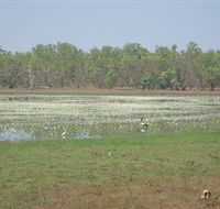 Leaning Tree Lagoon Nature Park - Accommodation Port Hedland