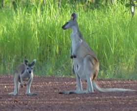 Djukbinj National Park - Accommodation Port Hedland 1