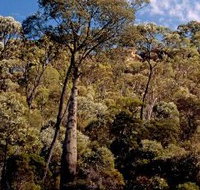 Ka Ka Mundi Carnarvon National Park - Accommodation Port Hedland