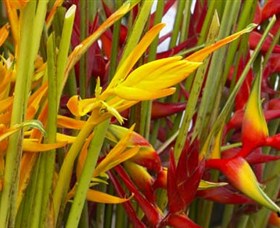 Parap Markets - Accommodation Port Hedland 1