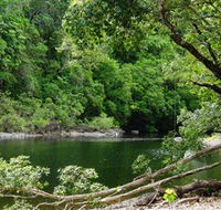 Broadwater Abergowrie State Forest - Accommodation Port Hedland