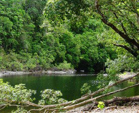 Broadwater, Abergowrie State Forest - Accommodation Port Hedland 0