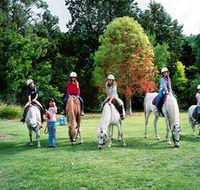 Limestone Coast Horseriding - Accommodation Port Hedland