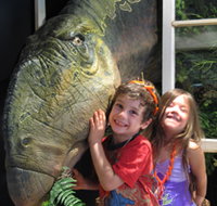 Australian Opal Centre - Accommodation Port Hedland