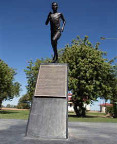 Railway Park Dirranbandi - Accommodation Port Hedland 1