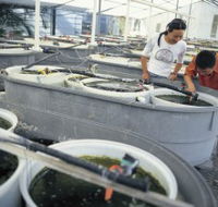 James Cook University of North Queensland - Accommodation Port Hedland