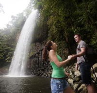 Millaa Millaa Falls - Accommodation Port Hedland
