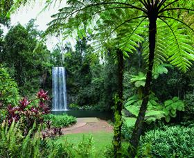 Millaa Millaa Falls - Accommodation Port Hedland 2