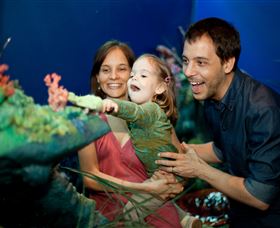 Museum Of Tropical Queensland - Accommodation Port Hedland 2