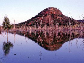 Nuga Nuga National Park And Lake Nuga Nuga - Accommodation Port Hedland 3