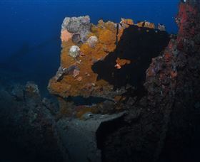 Lady Bowen Dive Site - Accommodation Port Hedland 0