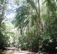 Mount Lewis National Park - Accommodation Port Hedland