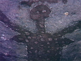 Accommodation Port Hedland