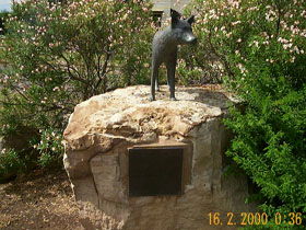Dingo Statue - Accommodation Port Hedland 0