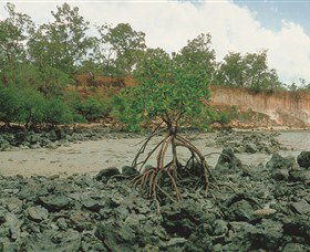 Garig Gunak Barlu National Park - Accommodation Port Hedland 3
