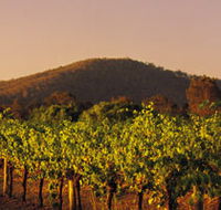 Taltarni Vineyards - Accommodation Port Hedland