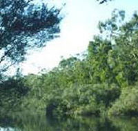 Crawford River Regional Park - Accommodation Port Hedland