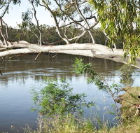 Murray Valley National Park - Accommodation Port Hedland