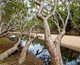Oyala Thumotang National Park (CYPAL) - Accommodation Port Hedland 0