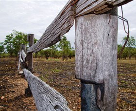 Oyala Thumotang National Park (CYPAL) - Accommodation Port Hedland 1