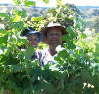 Wimmera Hills Winery - Accommodation Port Hedland
