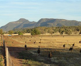Emu Logic - Accommodation Port Hedland 0