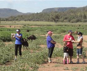 Emu Logic - Accommodation Port Hedland 2