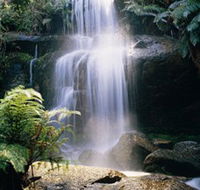 Mount Buangor State Park - Accommodation Port Hedland
