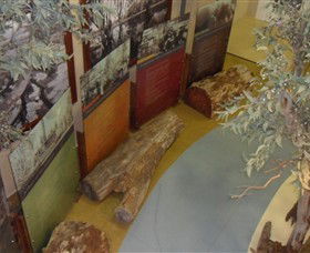 Barmah Forest Heritage And Education Centre - Accommodation Port Hedland 4