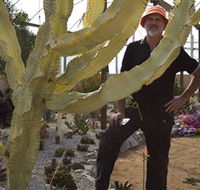 Cactus Country - Accommodation Port Hedland