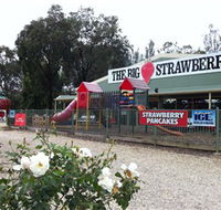 The Big Strawberry - Accommodation Port Hedland