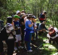 Warrumbungle National Park Discovery Program - Accommodation Port Hedland