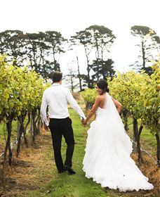 Quoin Hill Vineyard - Accommodation Port Hedland 2